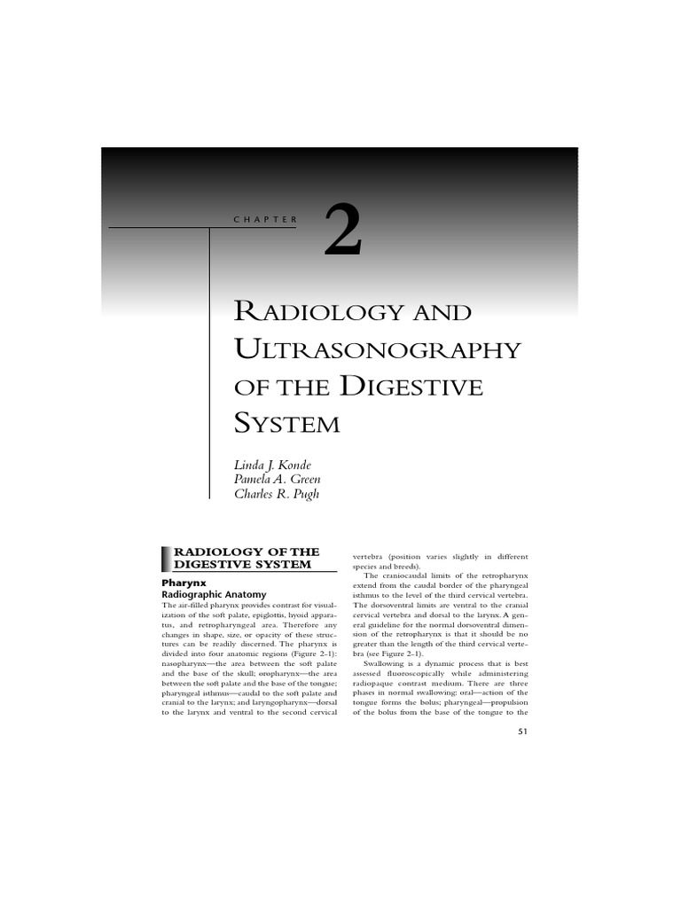 Capitulo 2 Radiografia y Ecografia Gastrointestinal PDF Stomach