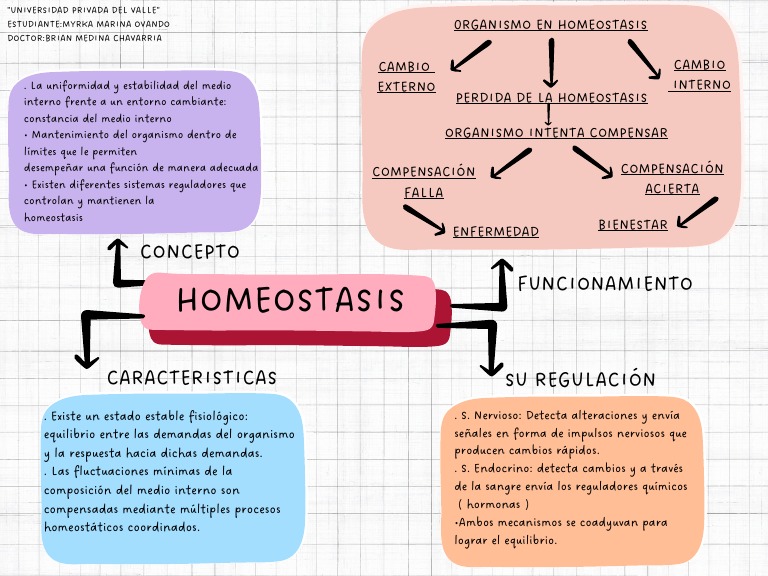 Mapa Conceptual de la Homeostasis | PDF