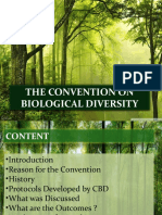 Group 4A - Convention On Biological Diversity