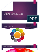 What Is Culture - Theories of Culture