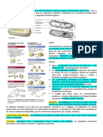 MICROBIOLOGIA