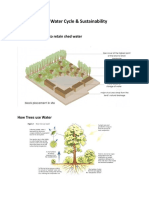 The Water Cycle & Sustainability: Tree Cover The Land To Retain Shed Water