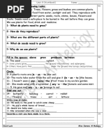 6th Grade Unit 9 (Workbook)