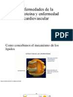 Enfermedades de La Lipoproteína y Enfermedad Cardiovascular