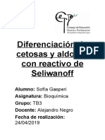Diferenciación de Cetosas y Aldosas Con Reactivo de Seliwanoff