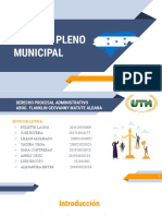 Dominio Pleno Municipal