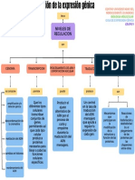 Regulacion de La Expresion Genica