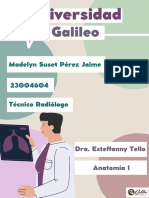 Glosario Médico y Planos Anatomicos