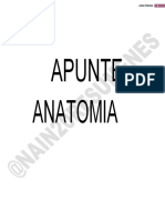 Apunte Anatomia 