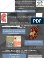 Litiasis Renal: MPSS: Cruz Zavala Abril Getsemaní