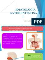 Fisiopatologia Gastrointestina L: Dr. Max Edwin Gorena Espinoza Docente Ffisiopatologia Ii