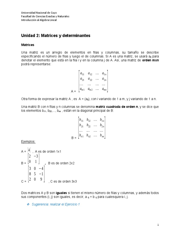Unidad II Matrices y Det 20 | PDF | Matriz (Matemáticas) | Determinante