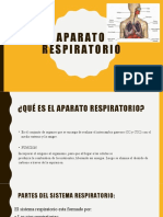 Aparato respiratorio: funciones, partes y procesos