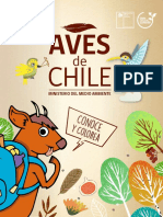 Especies Aves Chilenas