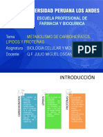 Metab de Carb Lipidos y Proteinas