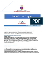 Boletin de Empleo N 307