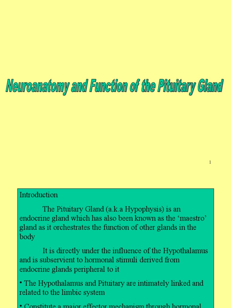 Anatomy and Functions of the Pituitary Gland | PDF | Pituitary Gland ...