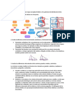 Anatomía Generalidades