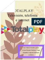 Totalplay-1 Estudio de Mercado
