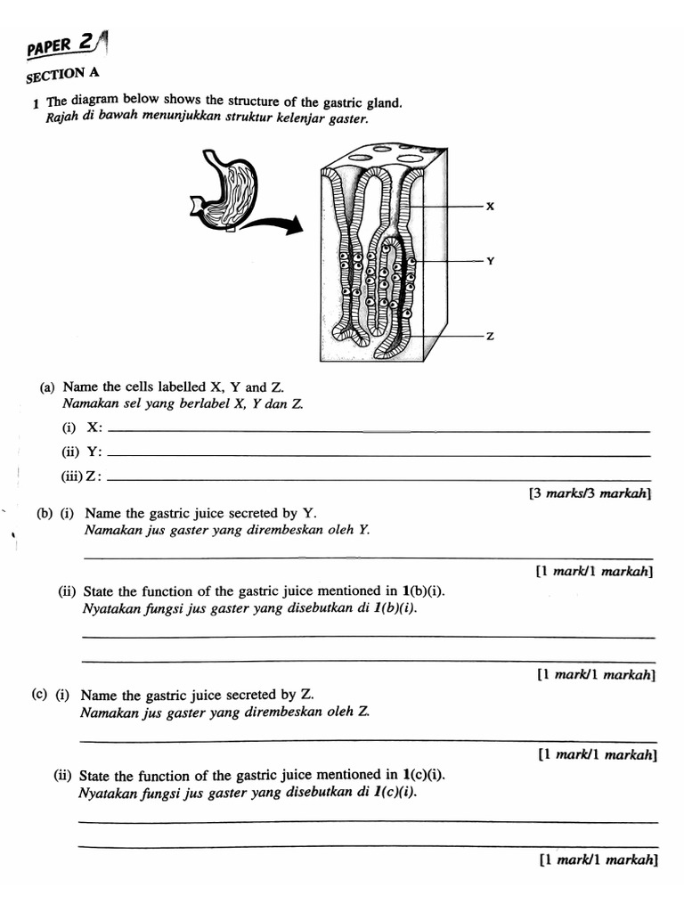 Chapter9 Digestion PDF