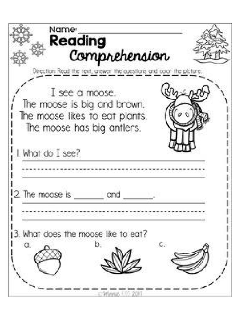 Reading Comprehension | PDF