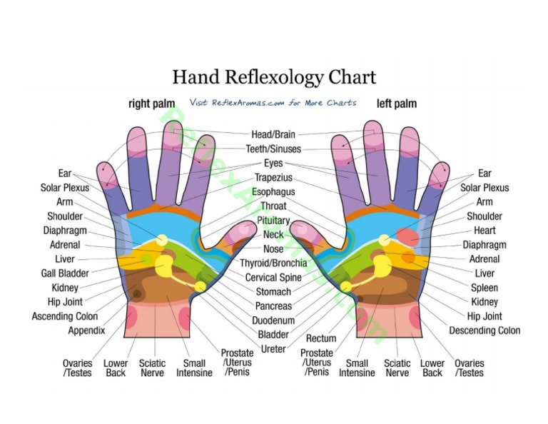 Hand Reflexology | PDF