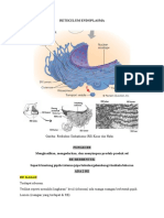 Retikulum Endoplasma