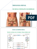 Fluxo Sanguíneo Renal e Filtração Glomerular 01.2019