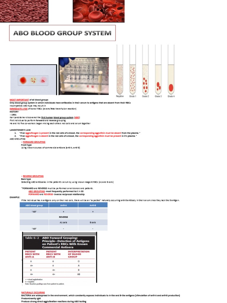 Abo Blood Group Part 1 | PDF | Blood Type | Animal Physiology