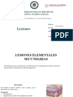 Lesiones: Universidad para El Bienestar Benito Juarez García