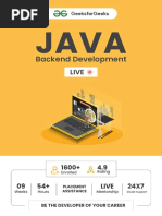 Basic Java Developer Roadmap (2025 Edition) | PDF | Java (Programming ...