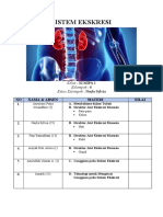 Sistem Ekskresi