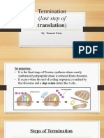 Termination (Last Step Of: Translation)