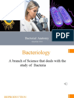 Bacterial Anatomy: Chapter Two