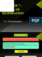Cellular Respiration: 7.3: Fermentation