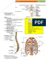 SKELETAL Anatomy Afnaksnfkansfnas