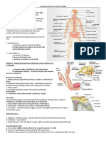 Peripheral Nervous System 5187471101