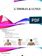 Assessing Thorax Lungs