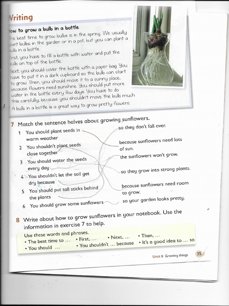 Reading and Writing3 | PDF