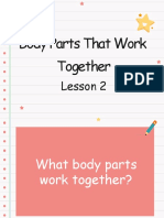 Body Parts That Work Together