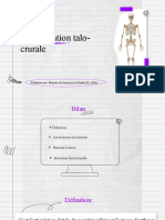 Anatomy Lesson - Realistic Skeleton For Education by Slidesgo