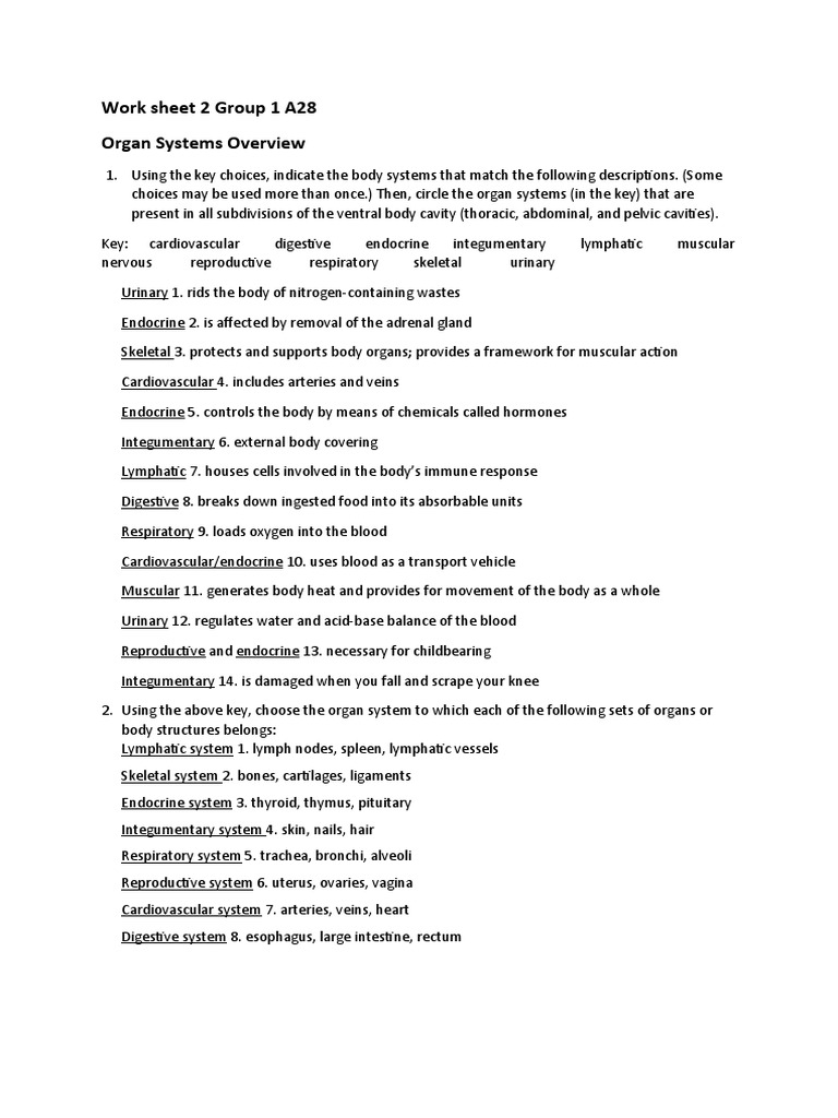 Work Sheet 2 Organ Systems Overview Grp1 A28 PDF
