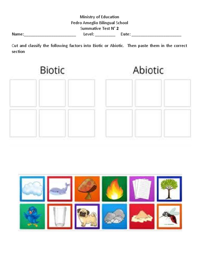 Summative Test 2 (Biotic Abiotic) PDF