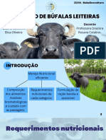 Nutrição de búfalas leiteiras: composição, requerimentos e formulação de rações