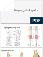 მუხლი მუხლის სახსარი წვივი