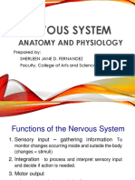 Nervous System: Anatomy and Physiology