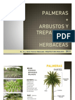 Palmeras Arbustos y Herbáceas-2021