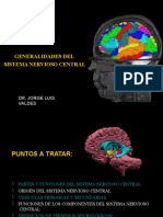 Generalidades Del Sistema Nervioso Central: DR, Jorge Luis Valdes