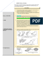 Guided Notes Lesson 5