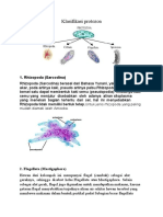 Cara Reproduksi Protozoa Dan Klasifikasi (Tri)